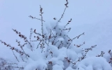 2023年长沙12月中旬下雪概率大吗