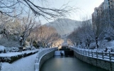 山东元旦前后还有大雪吗