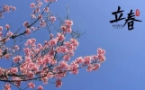 2024年躲春是不是不能穿红衣服