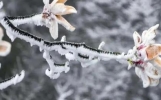 ​内蒙古3月有倒春寒吗