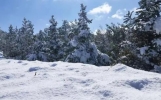 内蒙古3月份会下雪吗2024