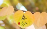 2024年春分是几月几号几点几分
