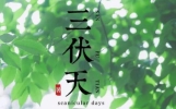 2024年三伏天热吗