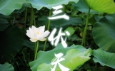 2024三伏天是30天还是40天